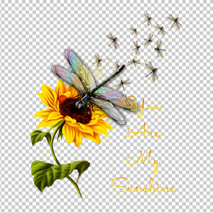 DRAGONFLY 13