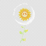 HIPPIE 355