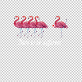 FLAMINGO 8