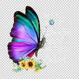 BUTTERFLY 40