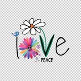 HIPPIE 34