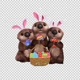 OTTER 3