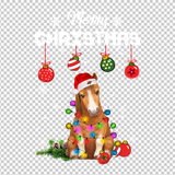 HORSE 17