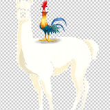 CHICKEN 149