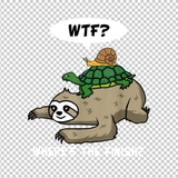 SLOTH 49