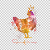 CHICKEN 30