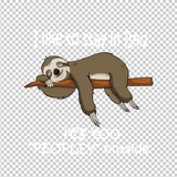 SLOTH 7