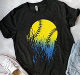 SOFTBALL 201