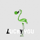 FLAMINGO 19