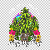 WEED 41