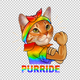 LGBT SUPPORT 41