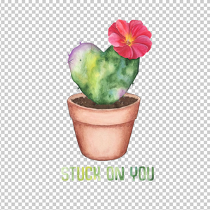 CACTUS 2
