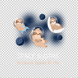SLOTH 207