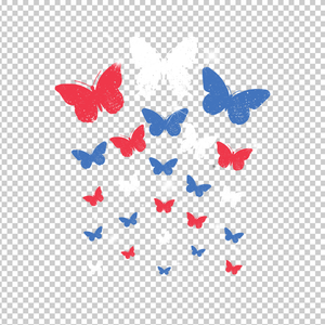 BUTTERFLY 12