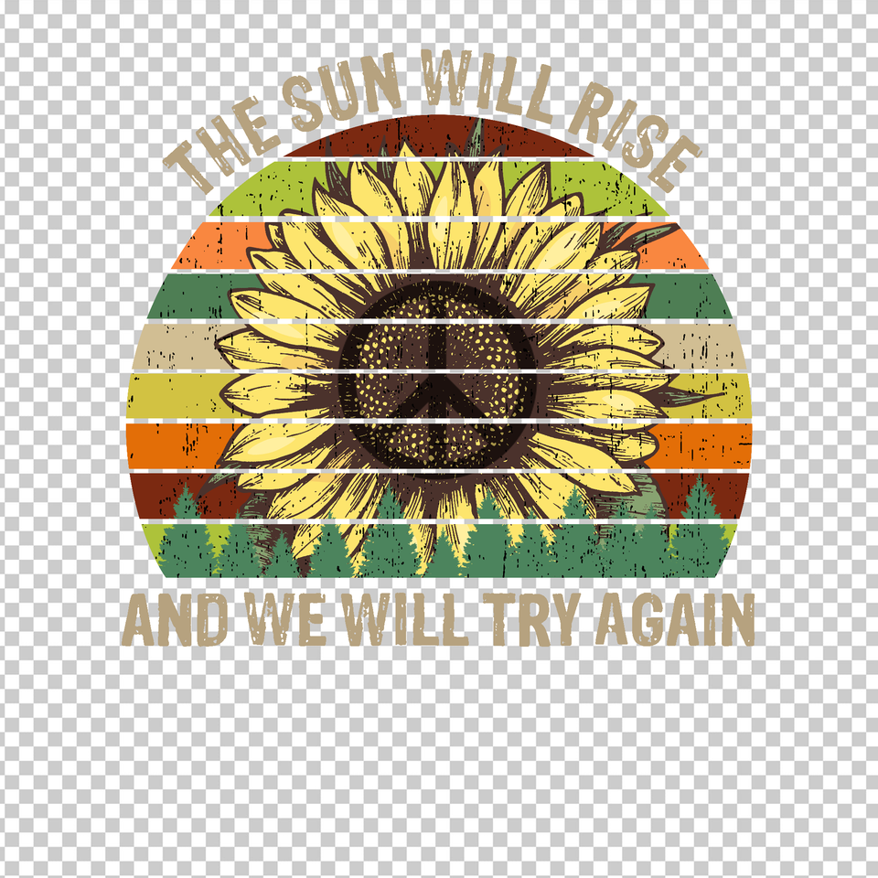 HIPPIE 66