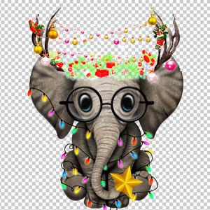 ELEPHANT 3