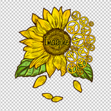 HIPPIE 138