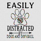SOFTBALL 260