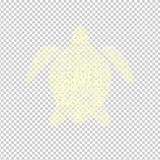 TURTLE 46