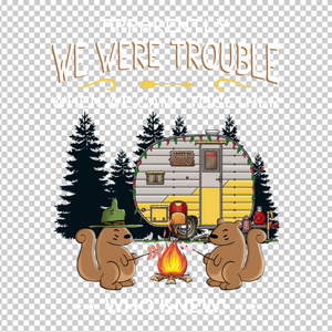 CAMPING 356