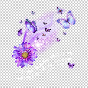 CYSTIC FIBROSIS AWARENESS 42