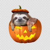 SLOTH 92