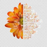 MULTIPLE SCLEROSIS AWARENESS 385