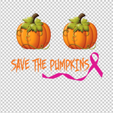 BREAST CANCER AWARENESS 133