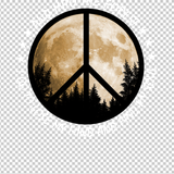 HIPPIE 208