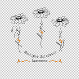 MULTIPLE SCLEROSIS AWARENESS 382