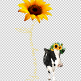 COW 82
