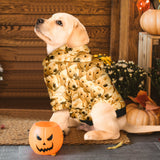 Custom Face Dog Hoodie - Personalized Dog Hoodie