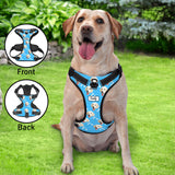 Personalized Dog Photo Bone Pattern Style Dog Harness