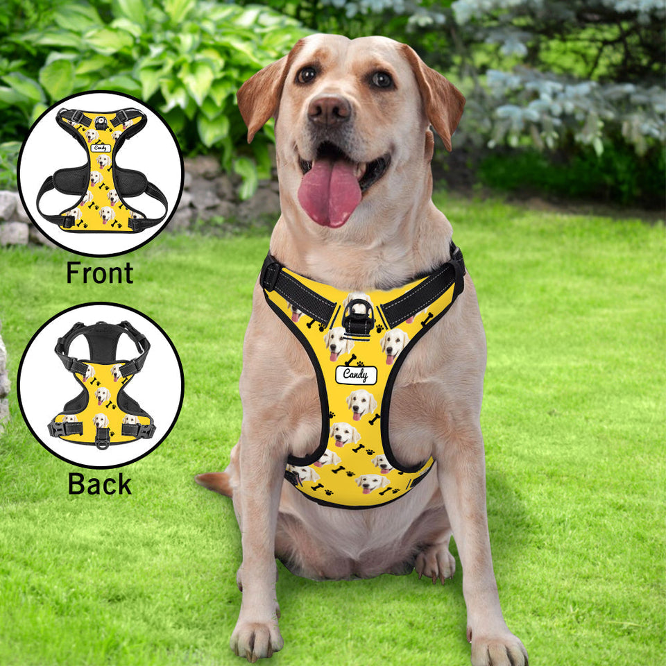 Personalized Dog Photo Bone Pattern Style Dog Harness