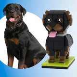 Dog Cat Lovers - Personalized Dog Cat Photos Brick Figures