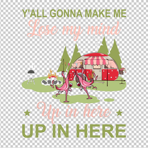 CAMPING 241