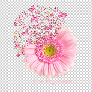 BUTTERFLY 26