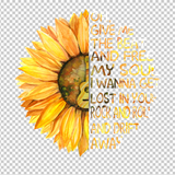 HIPPIE 202