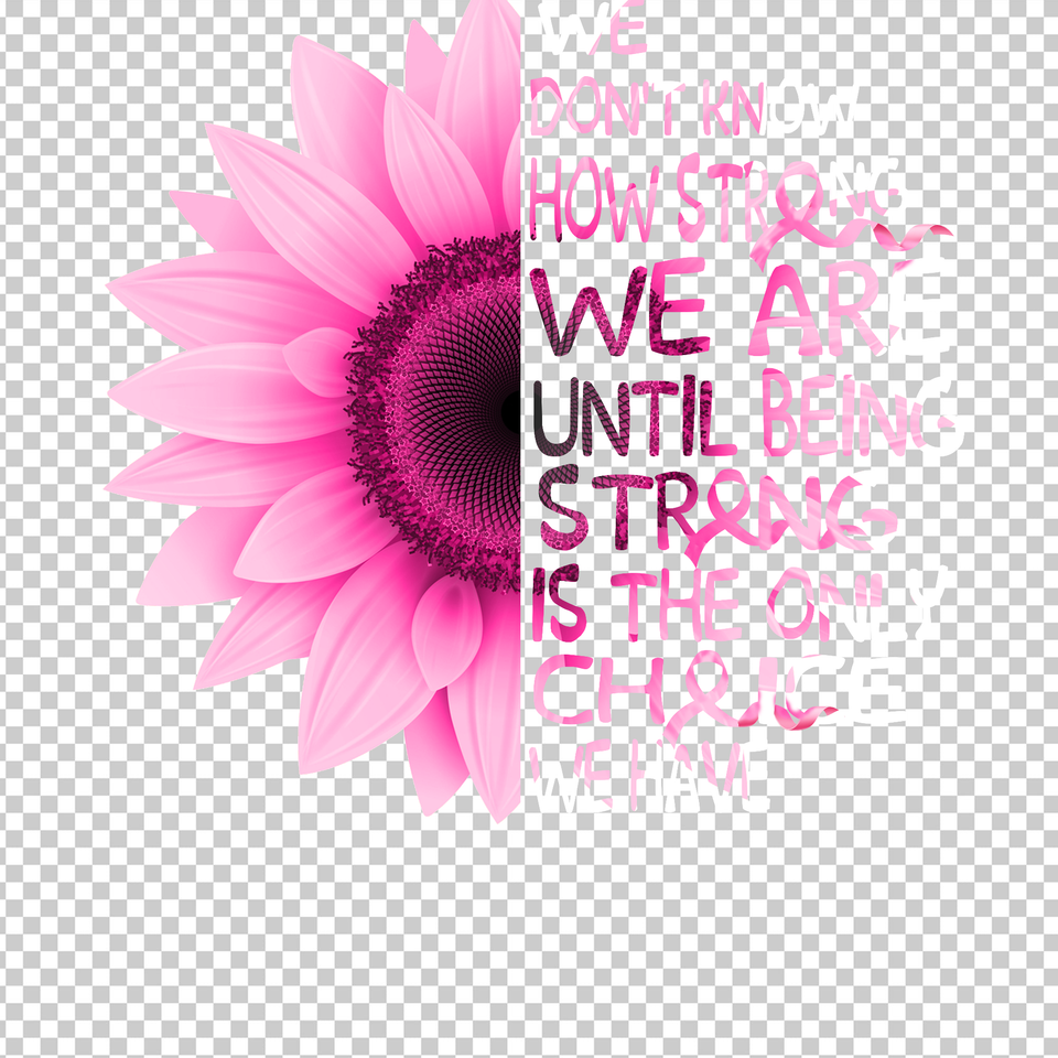 BREAST CANCER AWARENESS 165