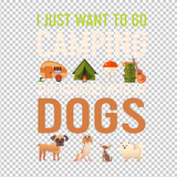 CAMPING 1