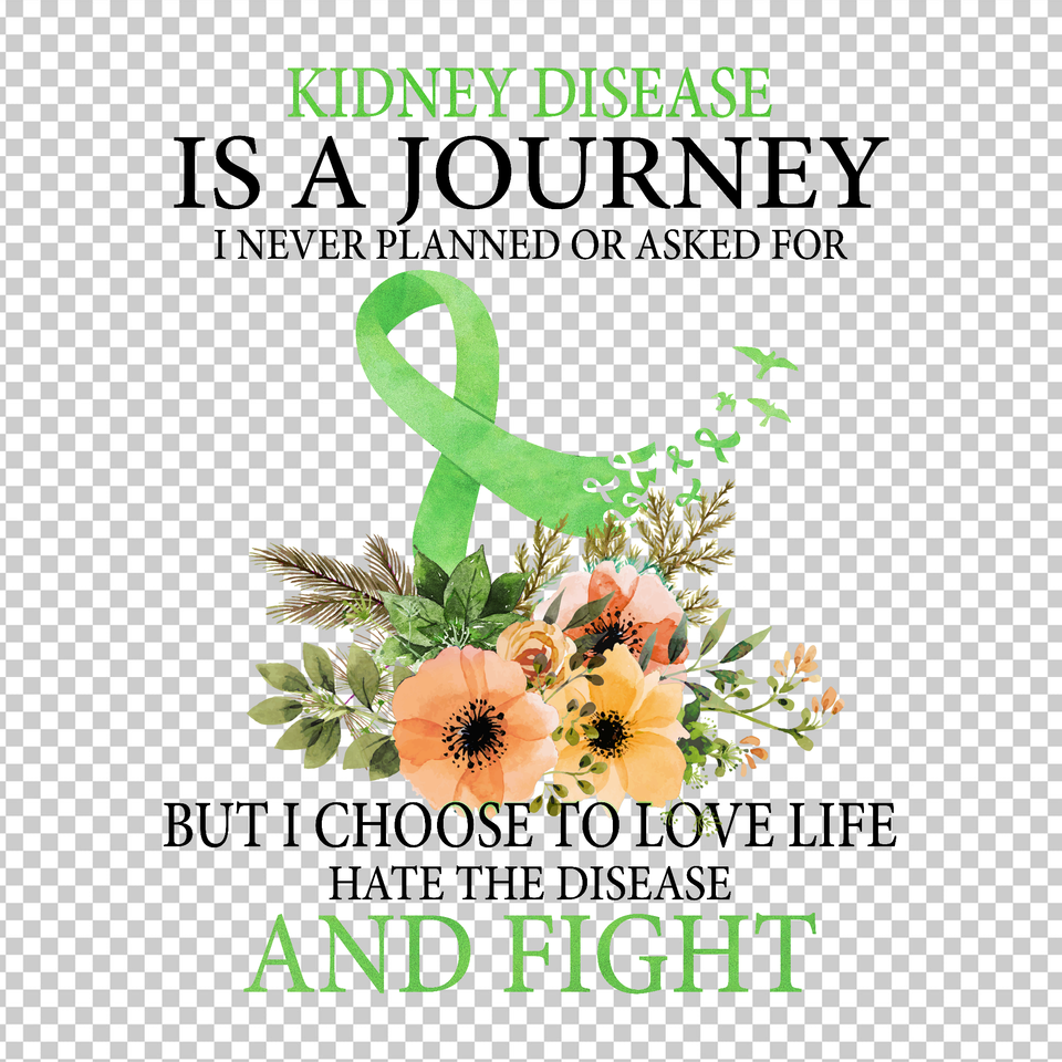 KIDNEY AWARENESS 4