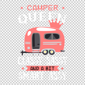 CAMPING 231