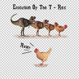 CHICKEN 65