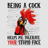 CHICKEN 164