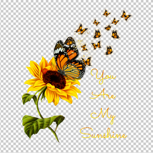 BUTTERFLY 25
