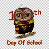 TEACHER 146