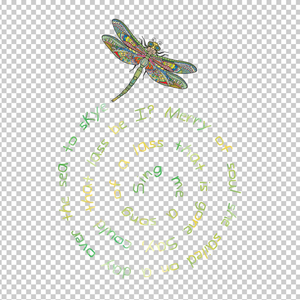 DRAGONFLY 4