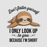SLOTH 34