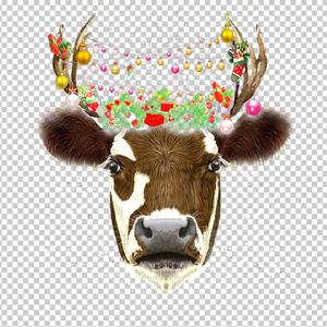 COW 58