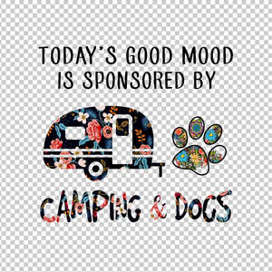 CAMPING 62